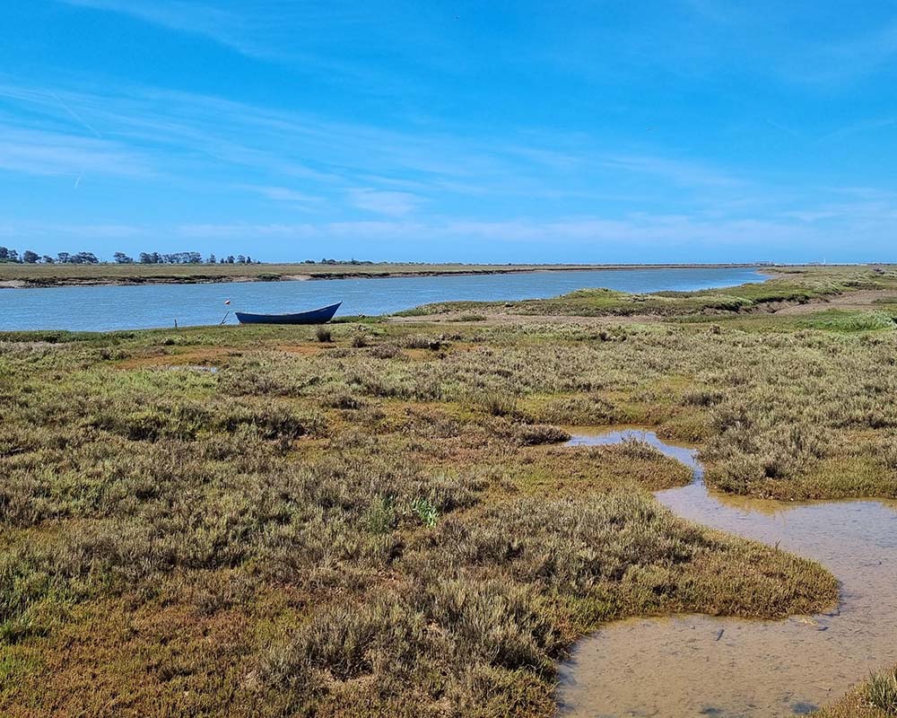 parque natural ria formosa algarve